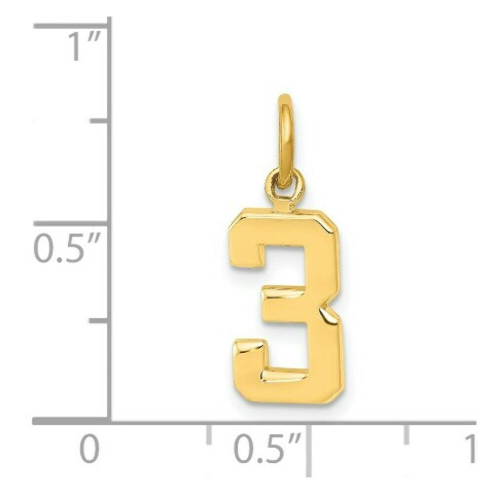 14K Yellow Gold Casted Small Polished Number 6 Charm