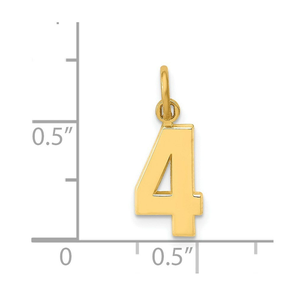 14K Yellow Gold Casted Small Polished Number 6 Charm