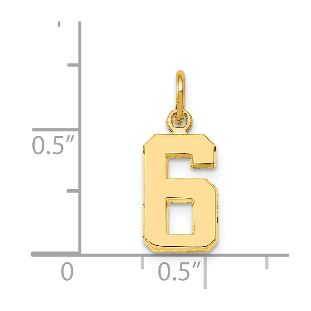 14K Yellow Gold Casted Small Polished Number 6 Charm
