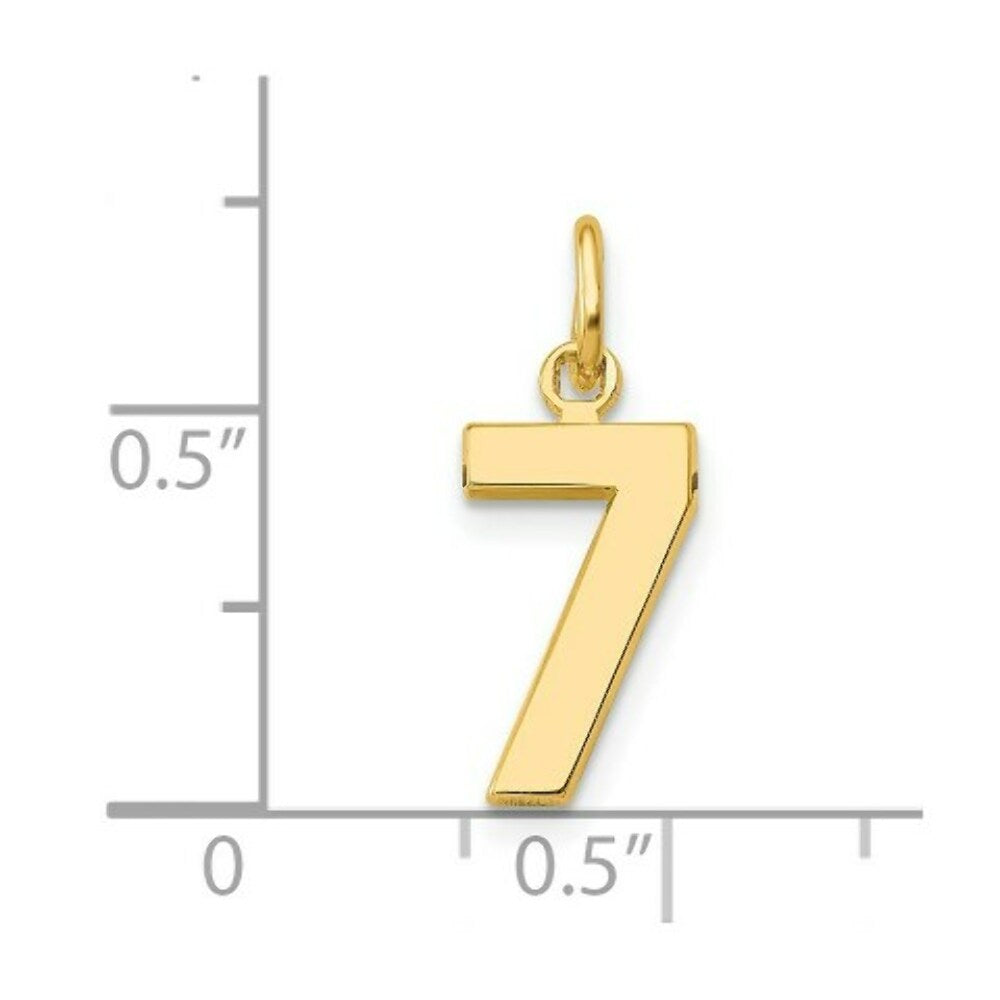 14K Yellow Gold Casted Small Polished Number 6 Charm