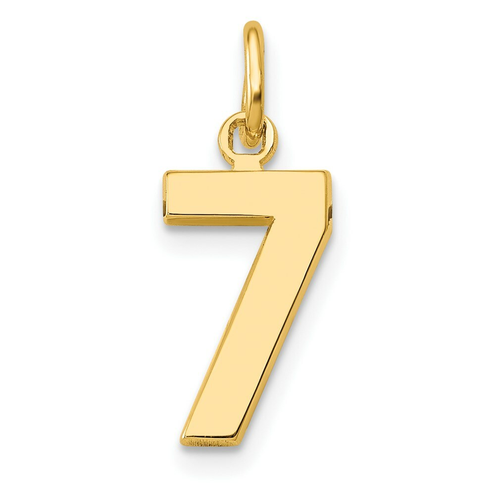 14K Yellow Gold Casted Small Polished Number 6 Charm