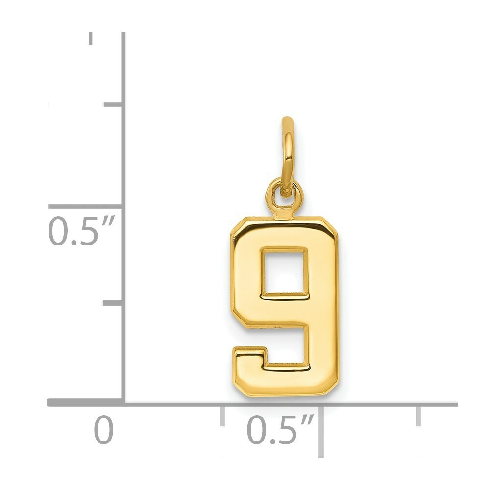 14K Yellow Gold Casted Small Polished Number 6 Charm