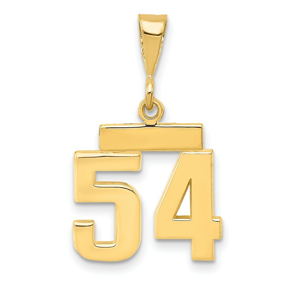 14K Yellow Gold Casted Small Polished Number 6 Charm