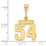 Load image into Gallery viewer, 14K Yellow Gold Casted Small Polished Number 6 Charm
