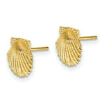 Load image into Gallery viewer, 14K Yellow Gold Scallop Shell Post Earrings
