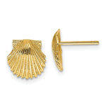 Load image into Gallery viewer, 14K Yellow Gold Scallop Shell Post Earrings
