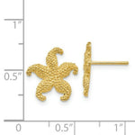 Load image into Gallery viewer, 14K Yellow Gold StarFish Post Earrings 15mm length
