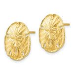 Load image into Gallery viewer, 14K Yellow Gold Large Sanddollar Post Earrings
