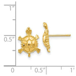 Load image into Gallery viewer, 14K Yellow Gold Turtle Post Earrings
