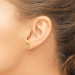 Load image into Gallery viewer, 14K Yellow Gold Moon and Star Post Earrings
