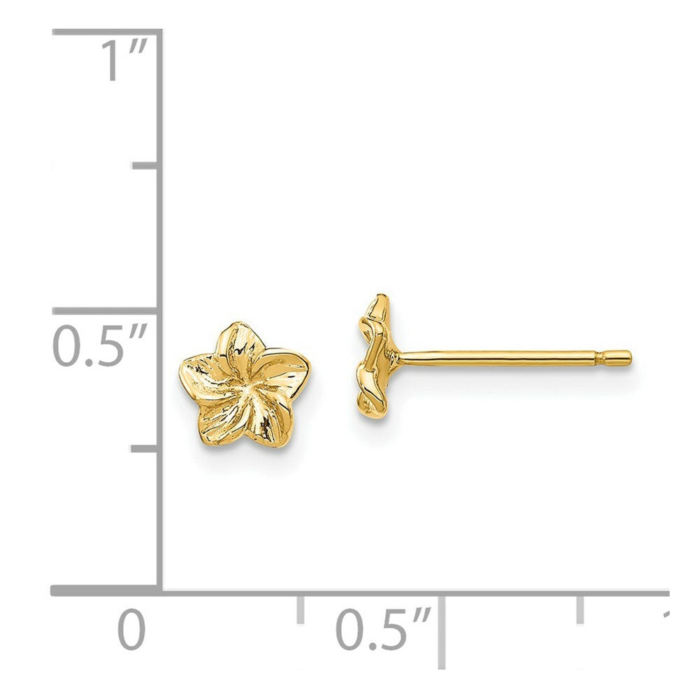14K Yellow Gold Plumeria Flower Post Earrings