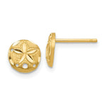 Load image into Gallery viewer, 14K Yellow Gold Diamond-cut Sand Dollar Earrings
