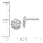 Load image into Gallery viewer, 14k White Gold Diamond-cut Sand Dollar Earrings
