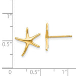Load image into Gallery viewer, 14K Yellow Gold StarFish Post Earrings 14mm length

