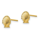 Load image into Gallery viewer, 14K Yellow Gold Scallop Shell Post Earrings
