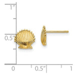 Load image into Gallery viewer, 14K Yellow Gold Scallop Shell Post Earrings
