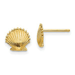 Load image into Gallery viewer, 14K Yellow Gold Scallop Shell Post Earrings
