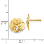 Load image into Gallery viewer, 14K Yellow Gold Sand Dollar Post Earrings
