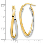 Load image into Gallery viewer, 14k Two Tone Gold Polished Oval Double Hoop Earrings
