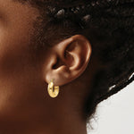 Load image into Gallery viewer, 14K Yellow Gold Polished 4.75mm Round Hoop Earrings 10mm length
