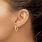 Load image into Gallery viewer, 14K Yellow Gold Polished 3.5mm Hoop Earrings  14mm length
