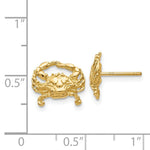 Load image into Gallery viewer, 14K Yellow Gold Crab Post Earrings
