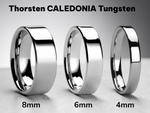 Load image into Gallery viewer, Mens Cobalt Chrome Polish Finished Wedding Ring - Flat Comfort Fit - 4mm 6mm 8mm Wide - Style name: CALEDONIA
