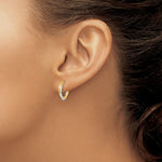 Load image into Gallery viewer, 14K Two-tone Gold Polished Hollow Hoop Earrings  12mm width
