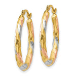 Load image into Gallery viewer, 14K Yellow Gold &amp; White &amp; Rose Rhodium Oval Hollow Scallop Hoop Earrings  19mm width
