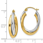 Load image into Gallery viewer, 14K Two-tone Gold Polished Double Oval Hoop Earrings  4mm width
