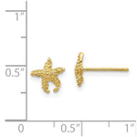 Load image into Gallery viewer, 14K Yellow Gold Polished &amp; Textured StarFish Post Earrings
