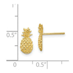Load image into Gallery viewer, 14K Yellow Gold Polished &amp; Textured Pineapple Post Earrings
