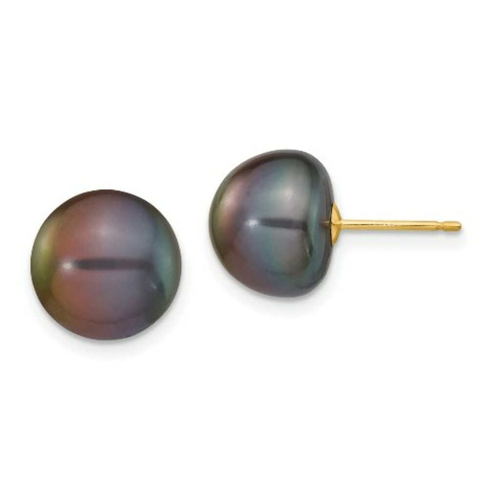14K Yellow Gold 10-11mm Black Button Freshwater Cultured Pearl Stud Earrings