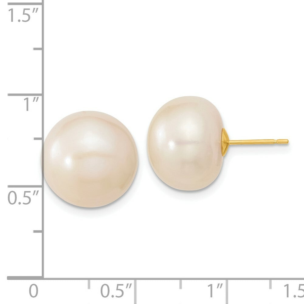 14K Yellow Gold 13-14mm White Button Freshwater Cultured Pearl Post Earrings