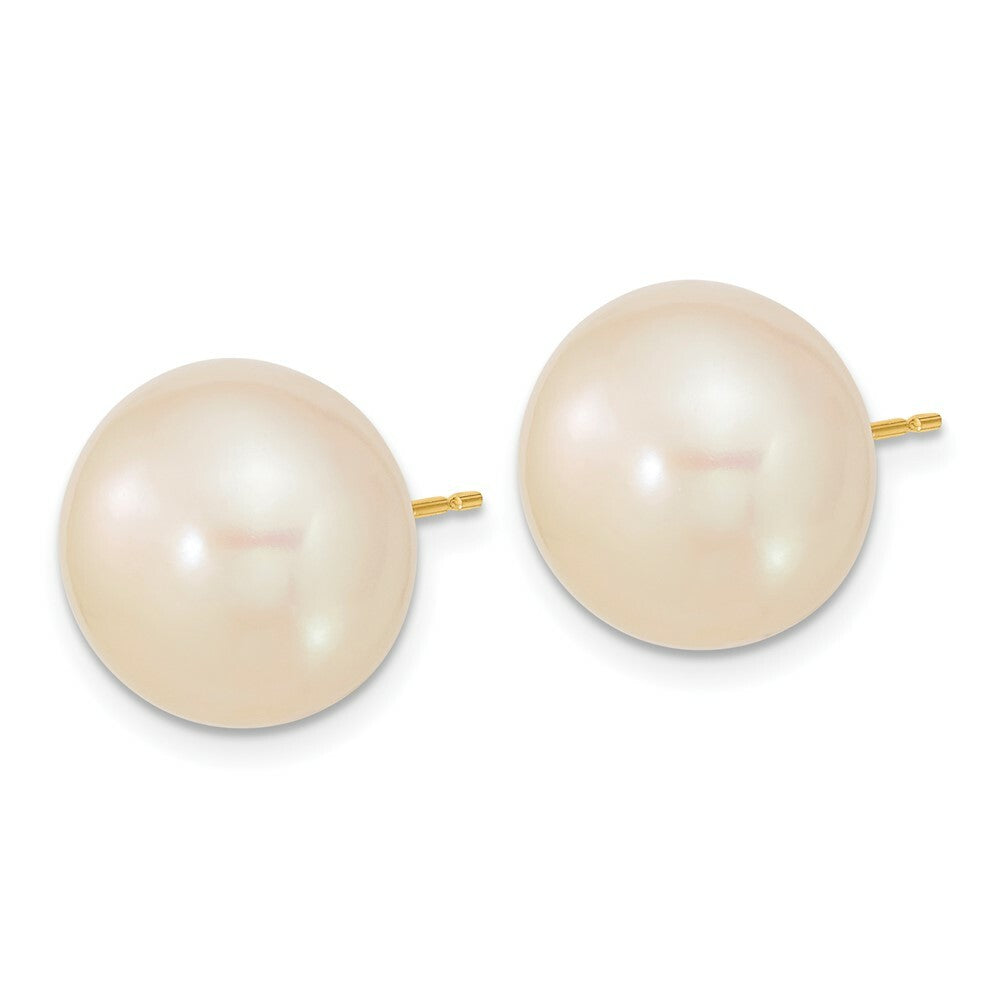 14K Yellow Gold 13-14mm White Button Freshwater Cultured Pearl Post Earrings
