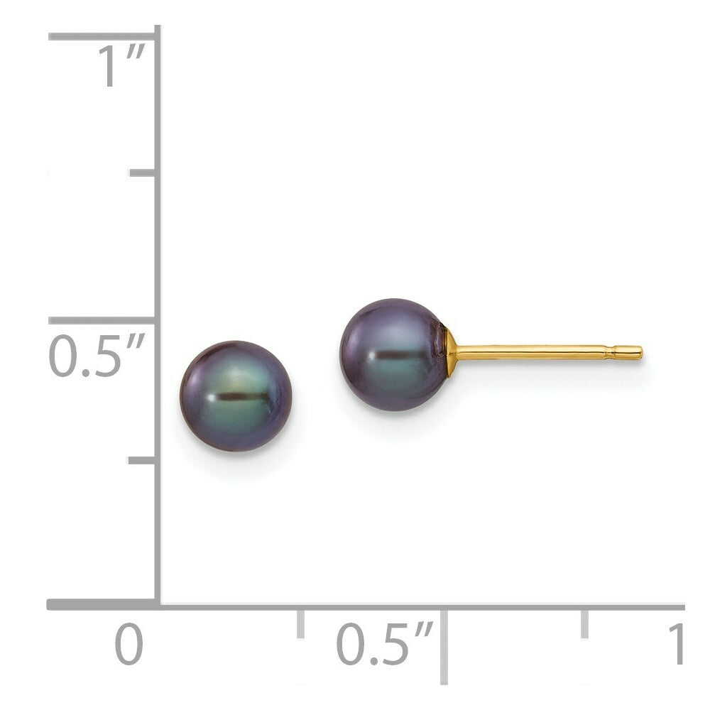 14K Yellow Gold 5-6mm Black Round Freshwater Cultured Pearl Stud Earrings
