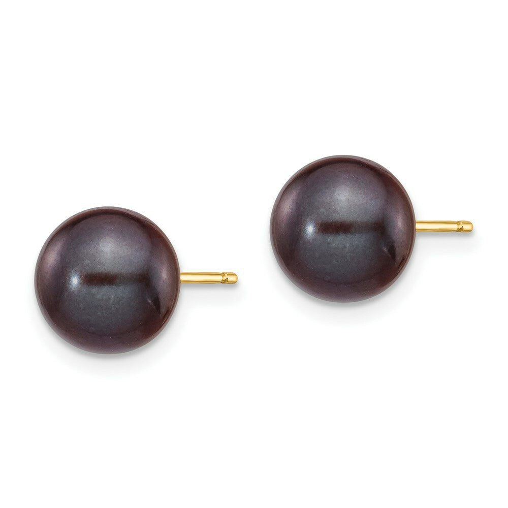 14K Yellow Gold 8-9mm Black Round Freshwater Cultured Pearl Stud Earrings