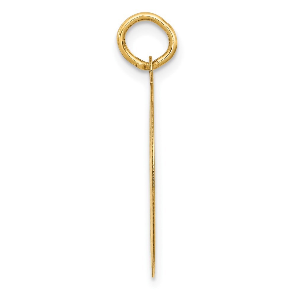 14K Yellow Gold Dachshund Disc Charm Pendant