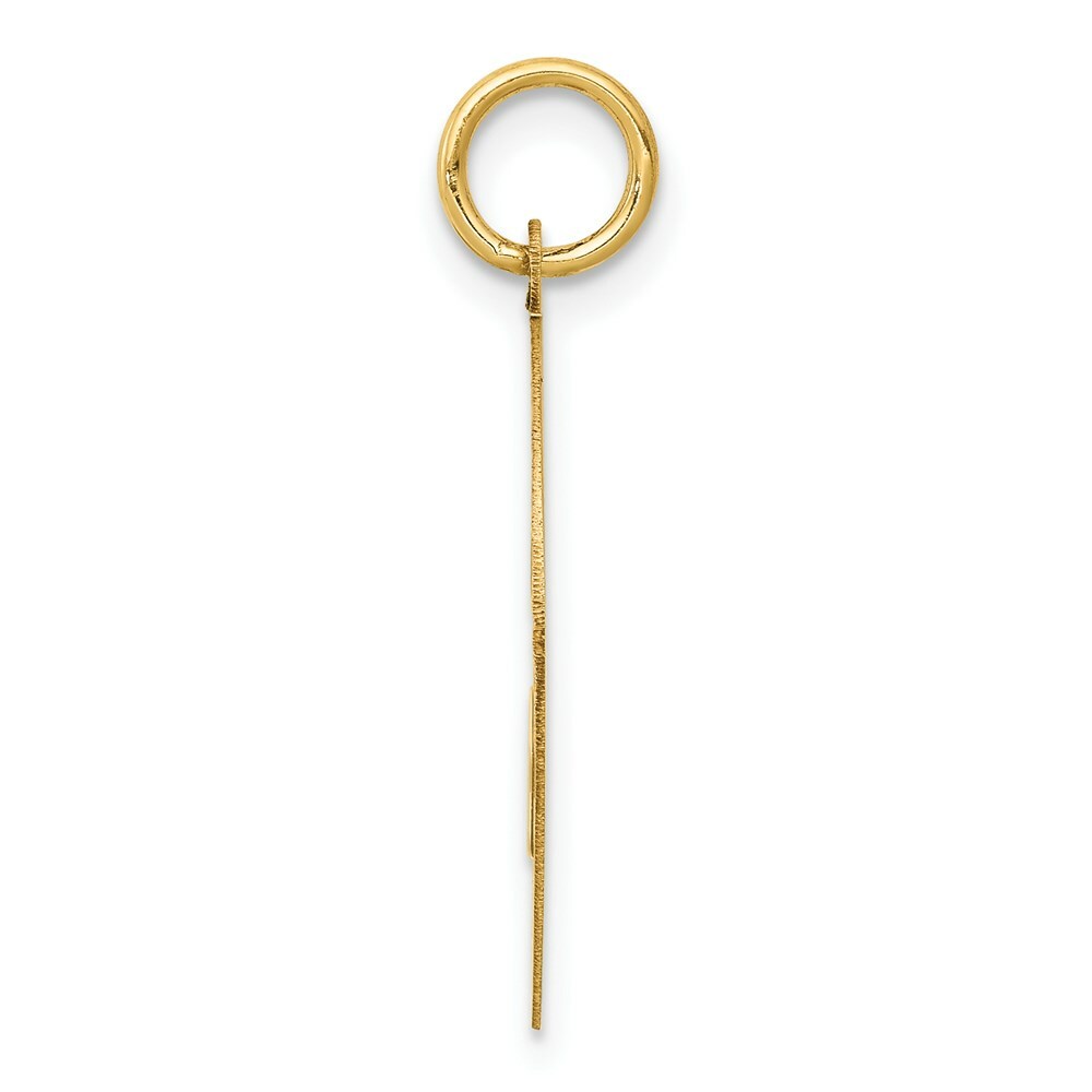 14K Yellow Gold Yorkshire Terrier Disc Charm Pendant