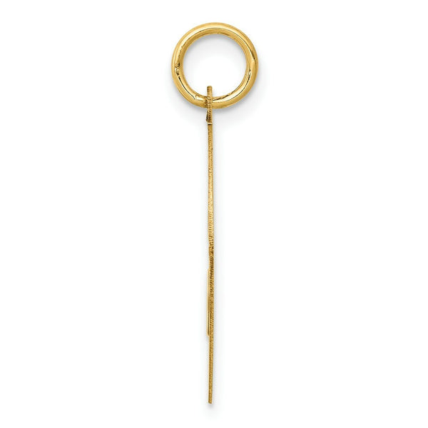 14K Yellow Gold Yorkshire Terrier Disc Charm Pendant