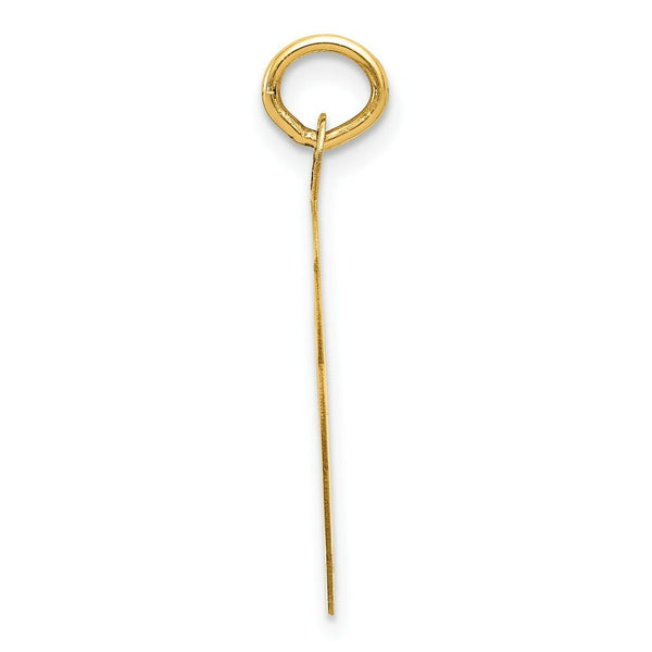 14K Yellow Gold Swimming Disc Charm Pendant