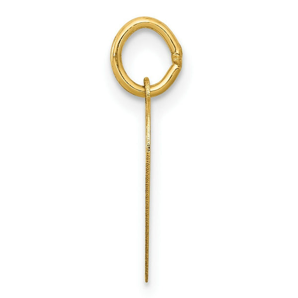 14K Yellow Gold Special Sister Charm Pendant