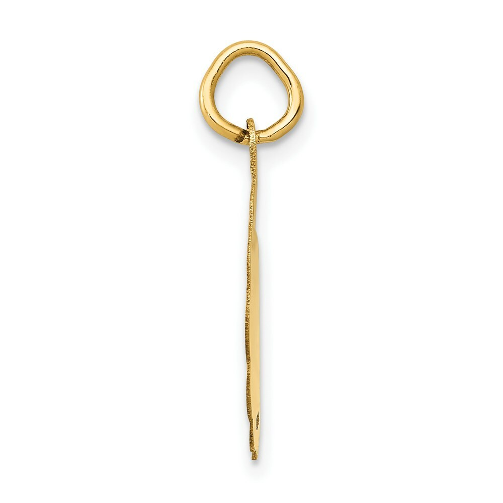 14K Yellow Gold Polished Its a Girl Scalloped Disc Charm
