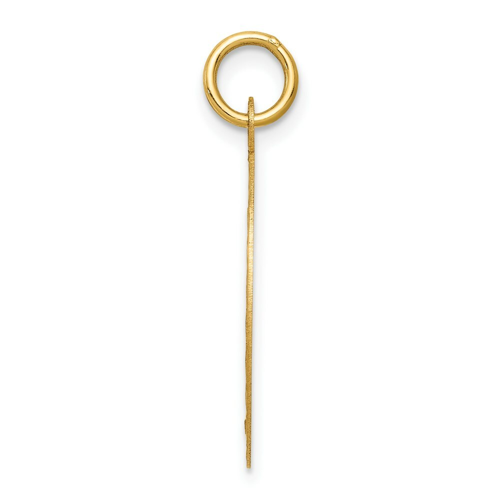 14K Yellow Gold Confirmation Disc Charm Pendant