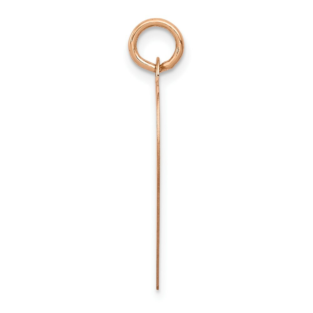 14K Rose Gold Heart Disc Charm Pendant Pendant