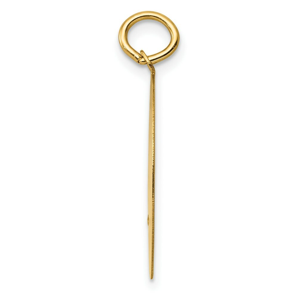 14K Yellow Golden Retriever Disc Charm