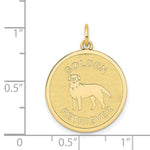Load image into Gallery viewer, 14K Yellow Golden Retriever Disc Charm
