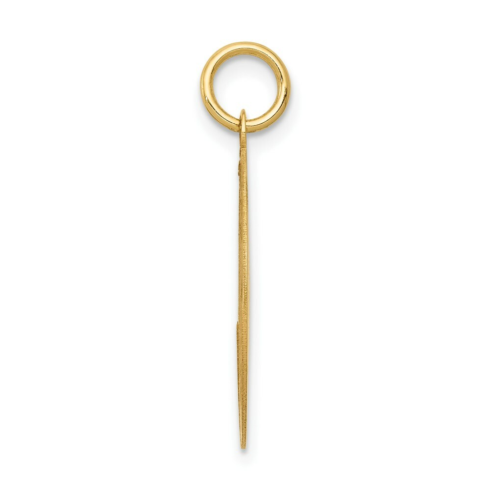 14K Yellow Gold Labrador Retriever Disc Charm