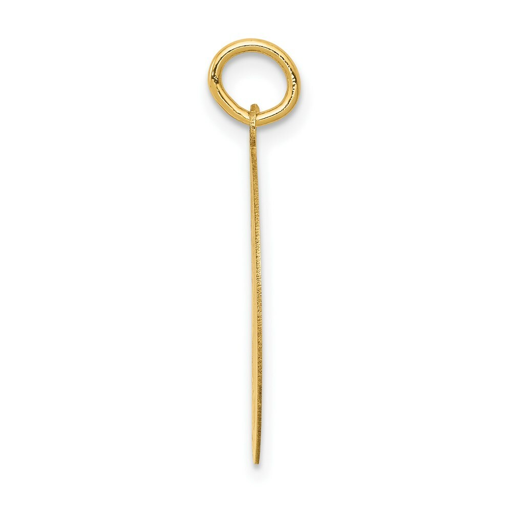 14K Yellow Gold Siberian Husky Disc Charm