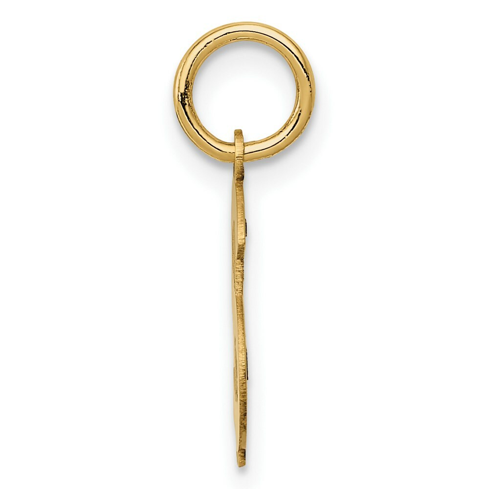 14K Yellow Gold Polished Dollar Sign Charm Pendant